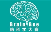 喜报|祝贺我校国际部周一鸣同学在2025年Brain Bee脑科学大赛中荣获全国一等奖!